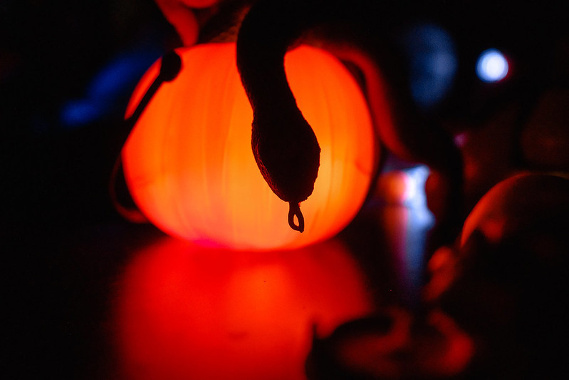 Украшение дома паутиной и летучими мышами к Хэллоуину в Moscow